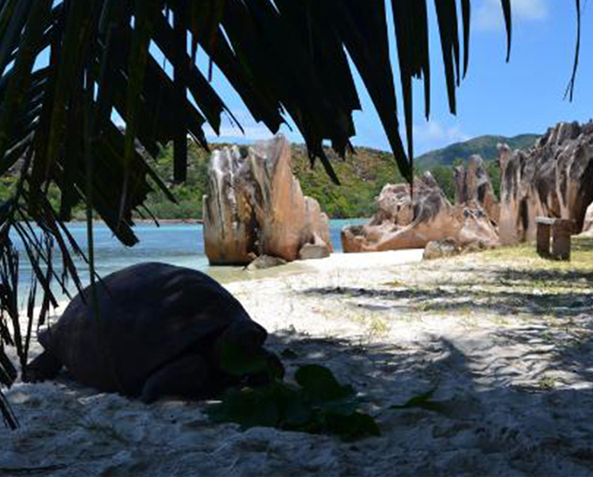 curieuse-island-seychelles-summer-rain-tours-blog